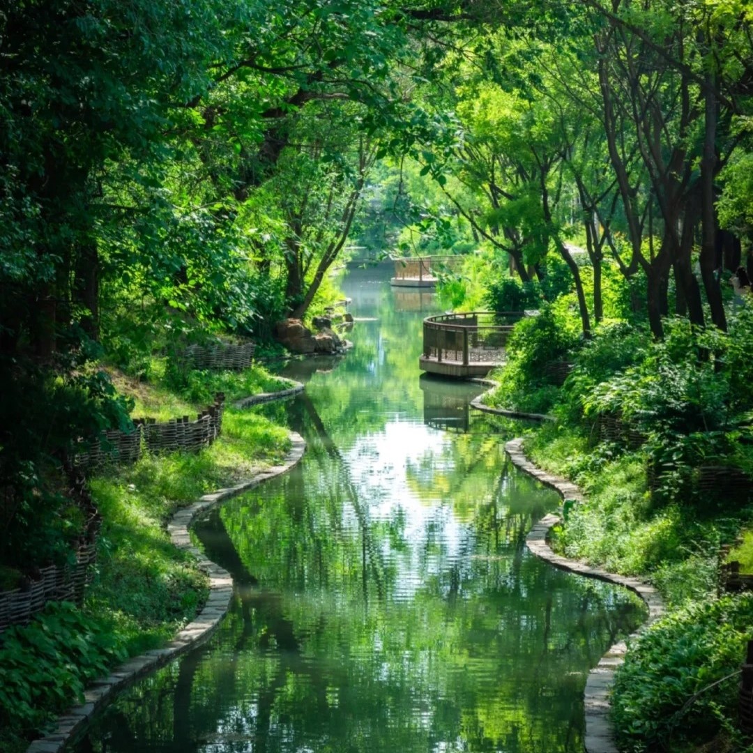 สวนสาธารณะ Beiwu: ภาพวาดแห่งธรรมชาติและบทกวีในเมืองหลวงปักกิ่ง