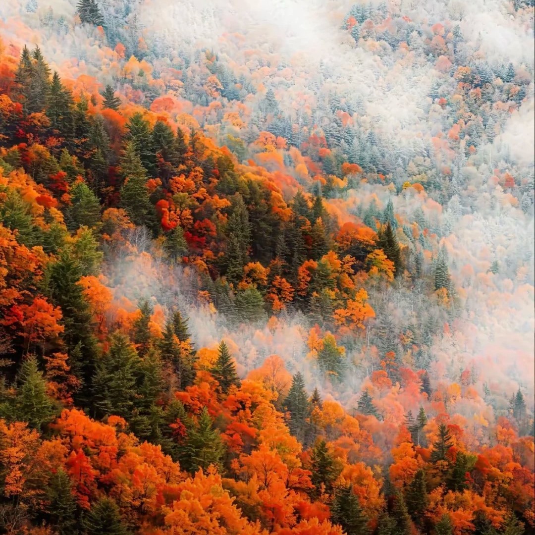 Guangwu Mountain: การเดินทางแห่งความฝันในฤดูใบไม้ร่วง