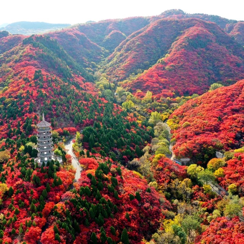 คู่มือท่องเที่ยวฤดูใบไม้ร่วง Jinan: พบกับช่วงเวลาที่สวยงามที่สุดของเมืองแห่งน้ำพุ