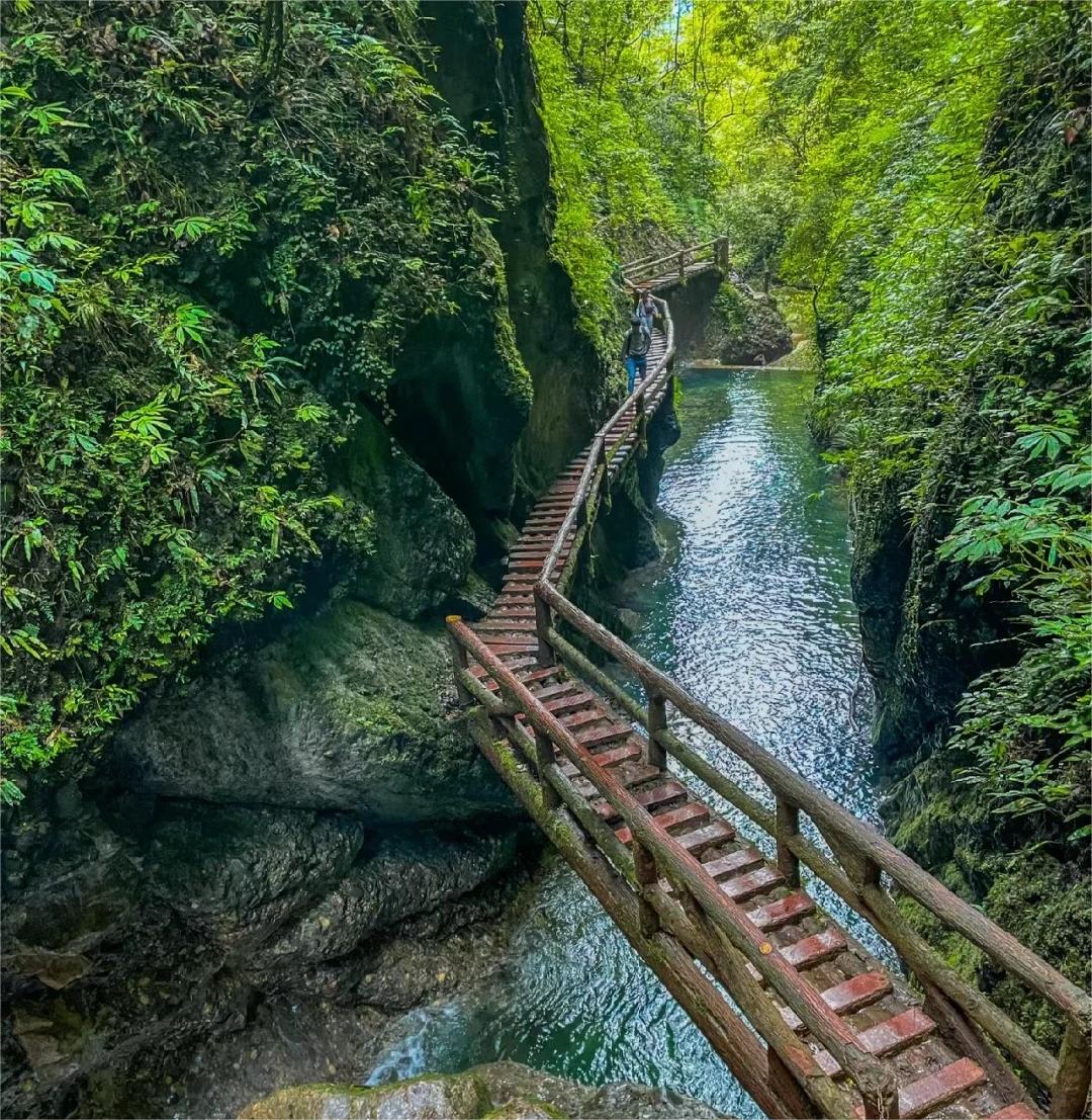 Qingcheng Mountain