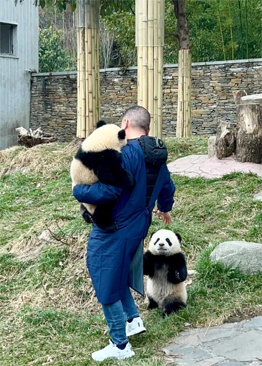 Wolong Nature Reserve