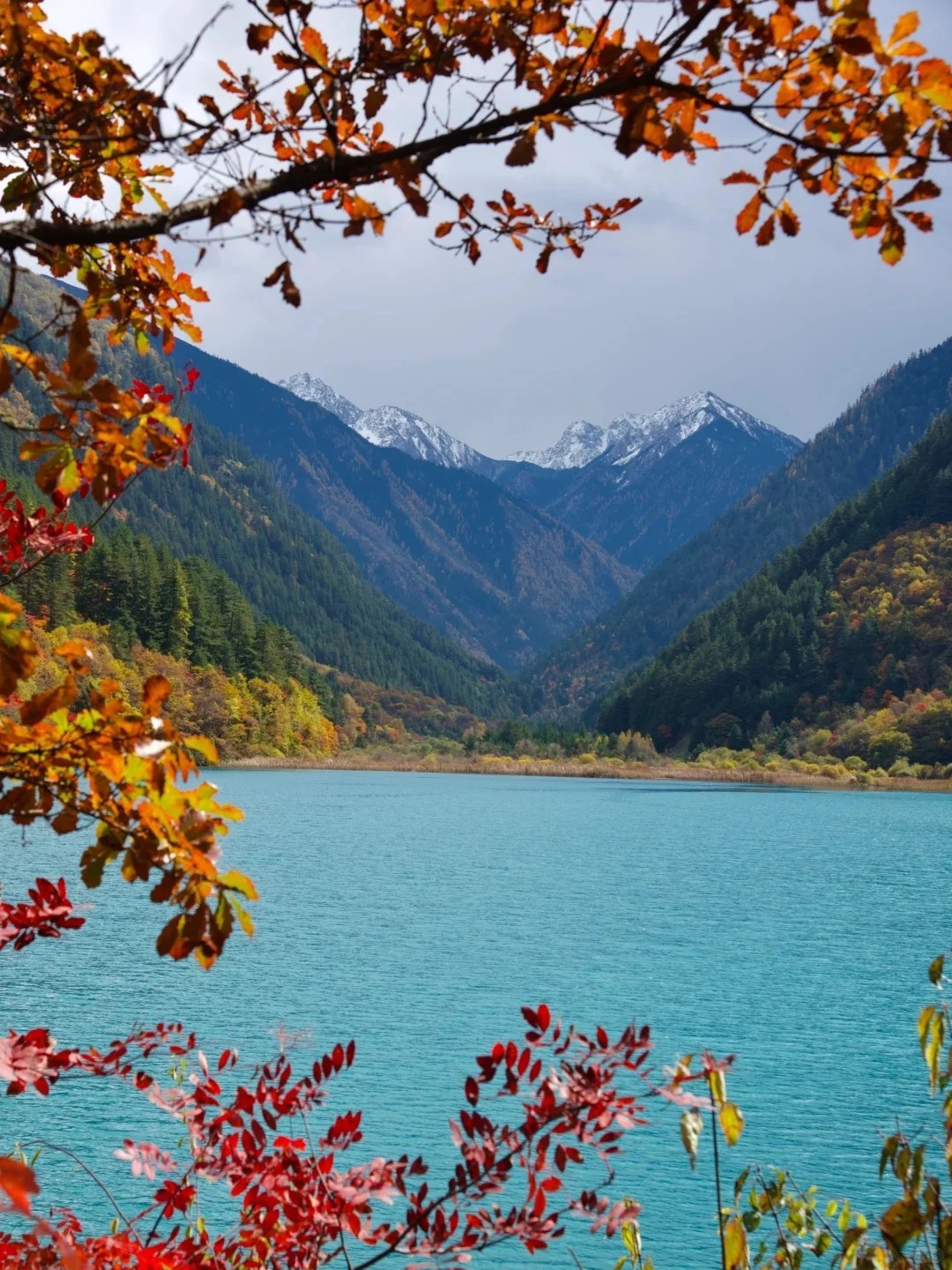 Jiuzhaigou scenery in autumn