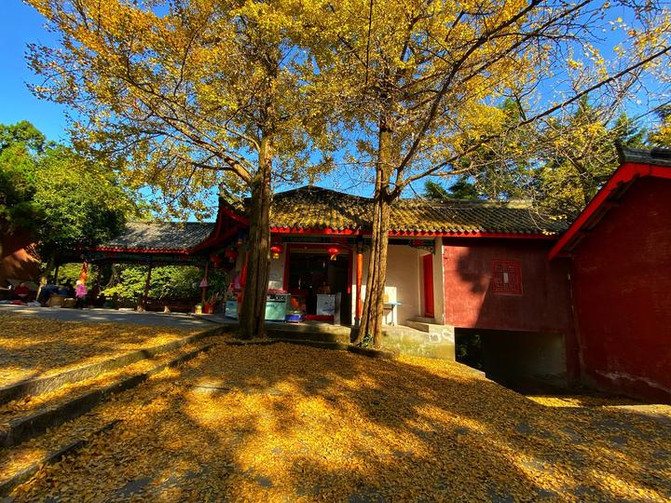 Chengdu เมืองที่มาแล้วไม่อยากจากไป: การนัดพบอีกครั้งกับความงามและรสชาติในฤดูใบไม้ร่วงและฤดูหนาว